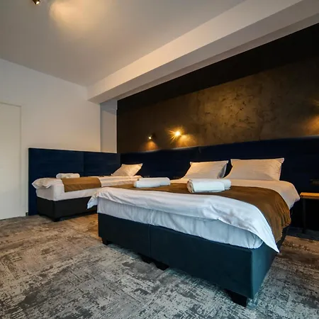 Gbu Hotel Timisoara