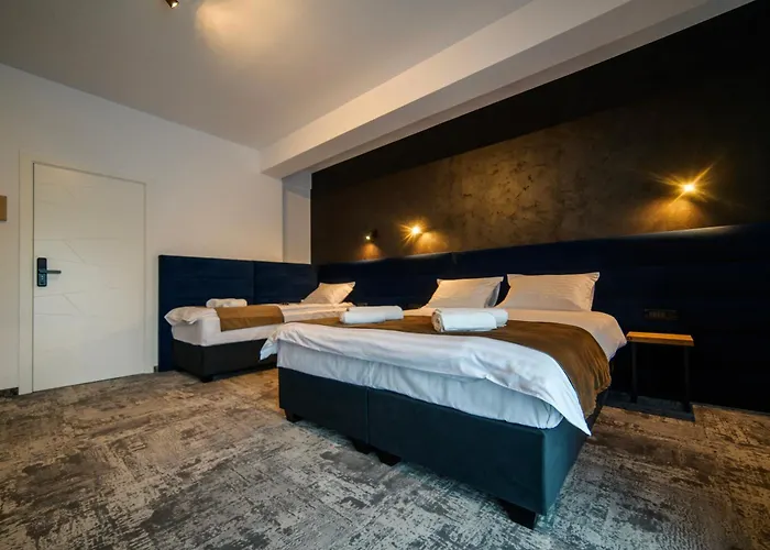 Gbu Hotel Timişoara