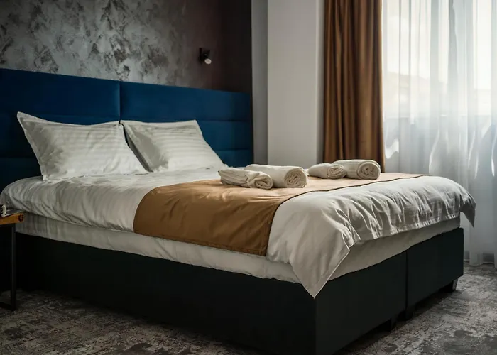 Gbu Hotel Timişoara